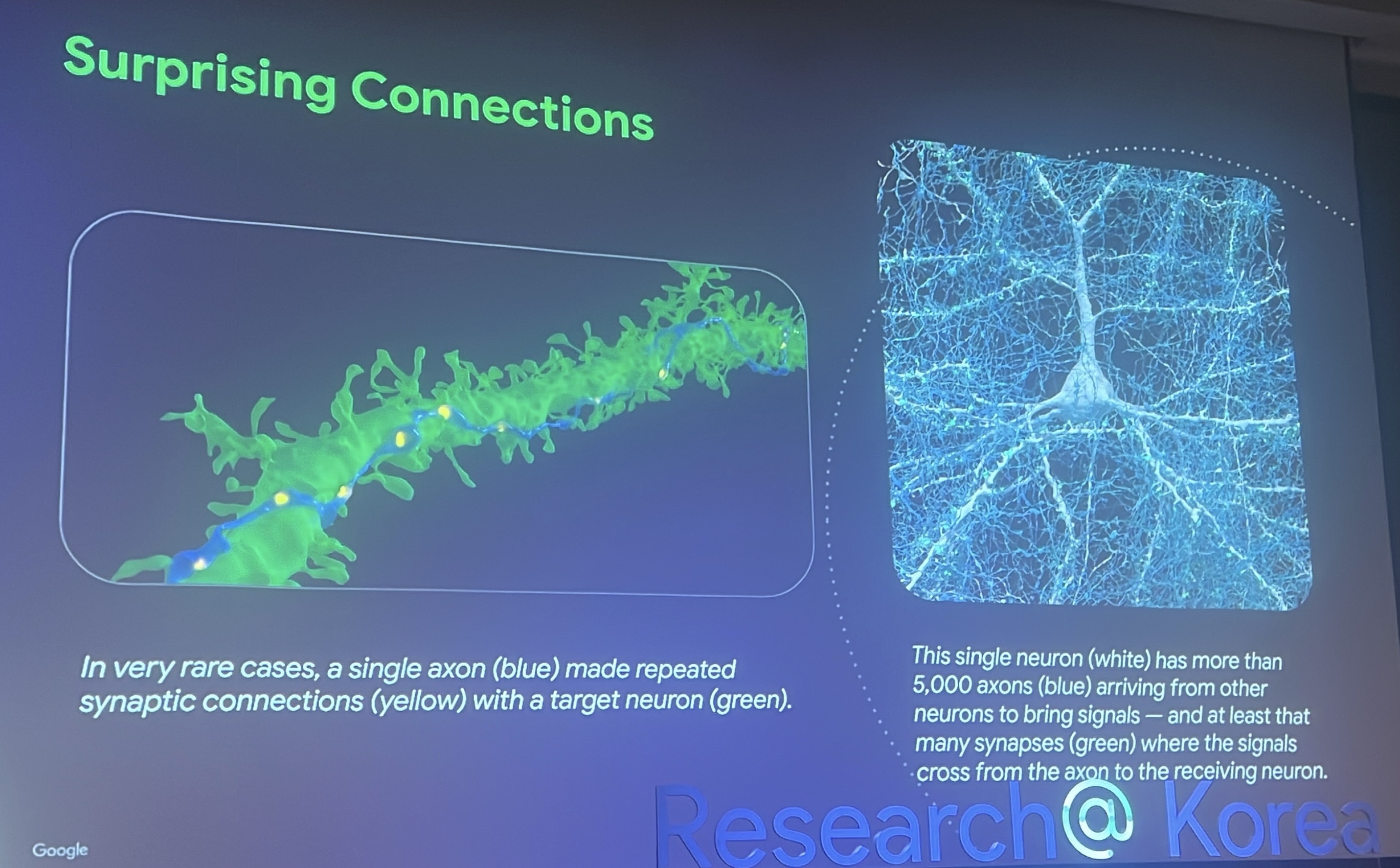 connections