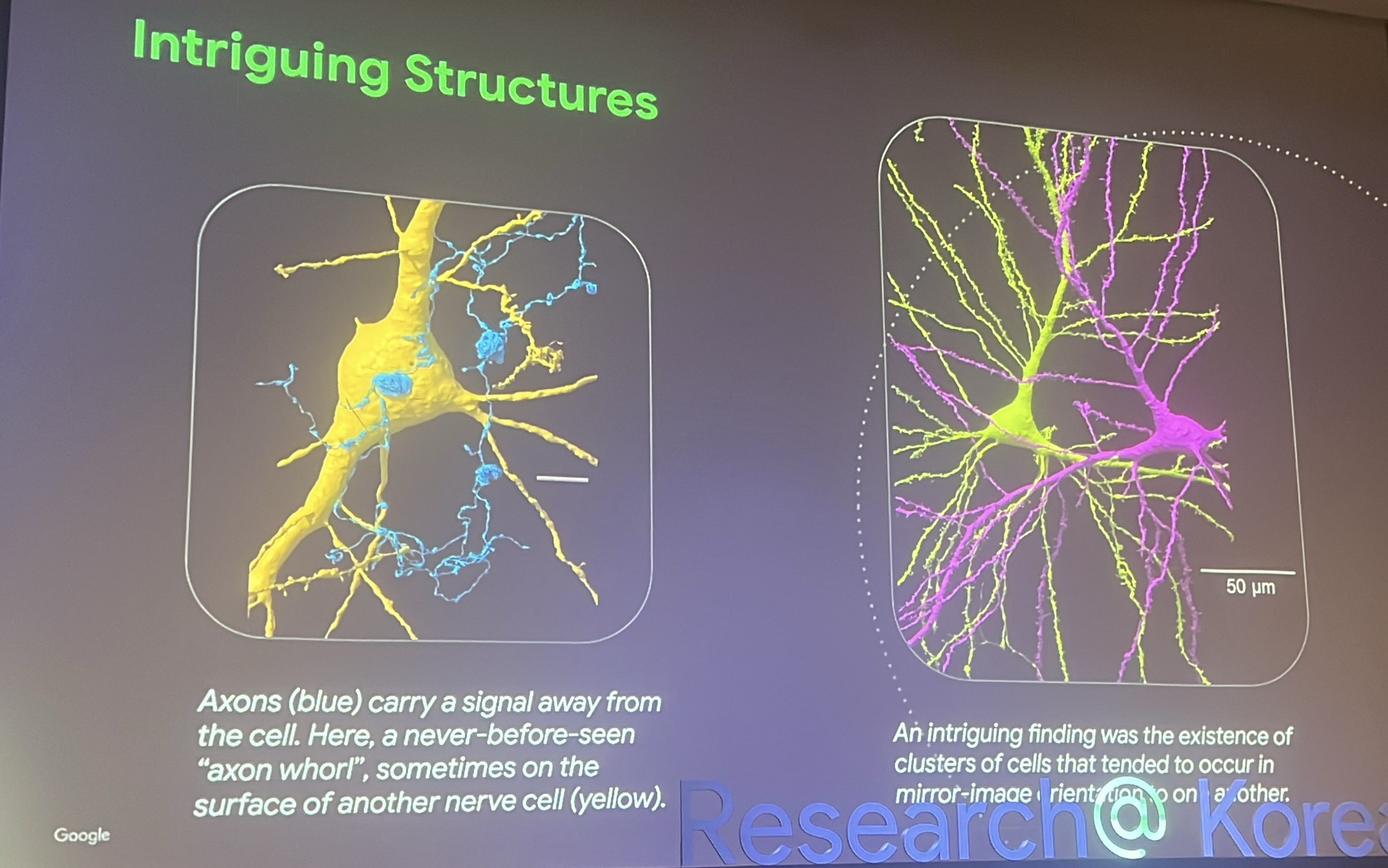 intriguing_structure