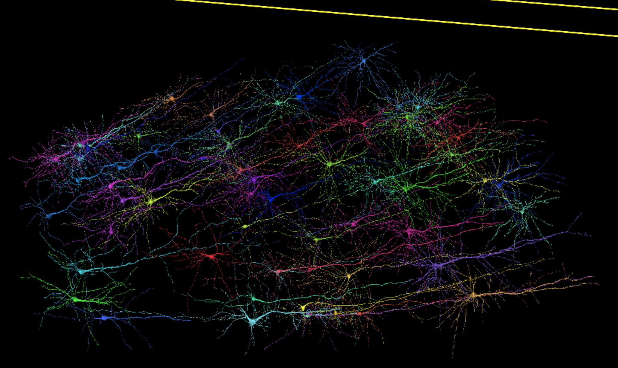 pyramidal_neurons